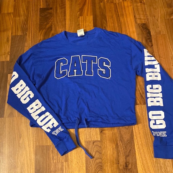 Pink Victoria’s Secret cats go big blue, Cropped drawstring long sleeve T-shirt - Picture 1 of 6